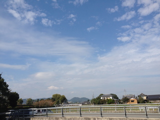 IMG_6306.jpg